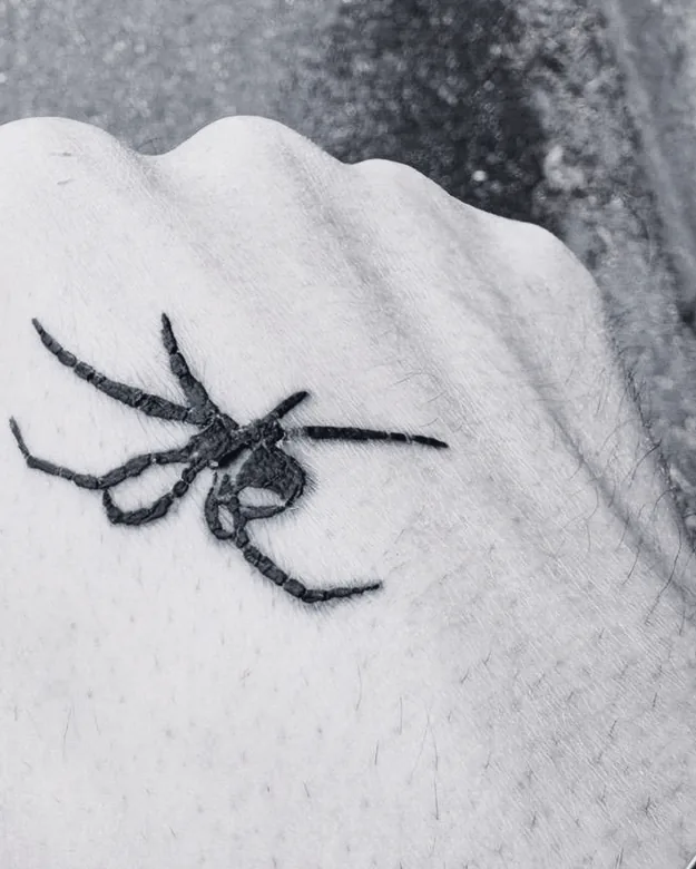 Blackwork — Recluse, Hand. Sami Tutar, S.Ink